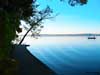 Lake Independence at Dawn