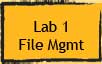 Lab 1: File Management