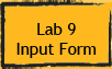 Lab 9: Data Entry Form